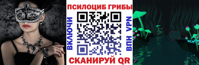 Псилоцибиновые грибы MAGIC MUSHROOMS  Судогда 